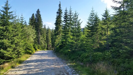 Nature mountain trekking tourism