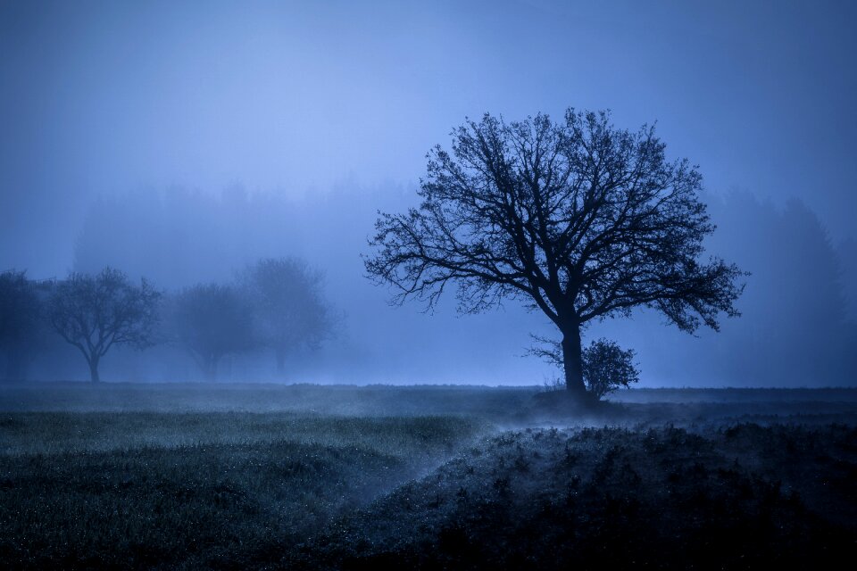 Landscape autumn meadow