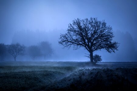 Landscape autumn meadow photo