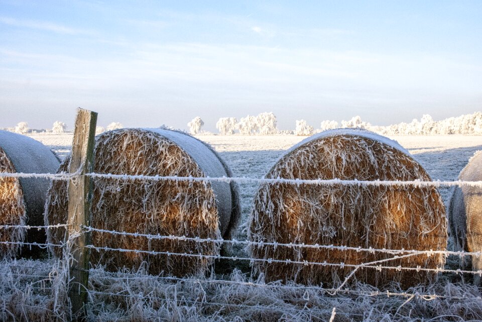 Winter landscape agriculture
