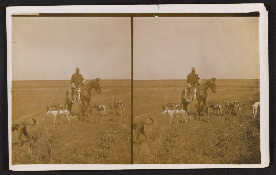 Secretary Loeb and the greyhounds, after the rabbit hunt - Burgess Bros ranch, near Fort Worth, Texas LCCN2013651278