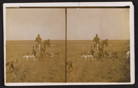 Secretary Loeb and the greyhounds, after the rabbit hunt - Burgess Bros ranch, near Fort Worth, Texas LCCN2013651278