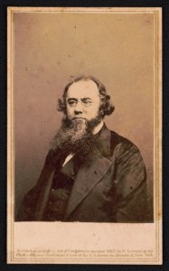 Secretary of War Edwin Stanton LCCN2017659637
