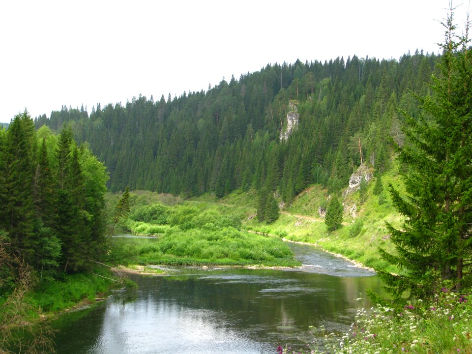Landscape green beauty