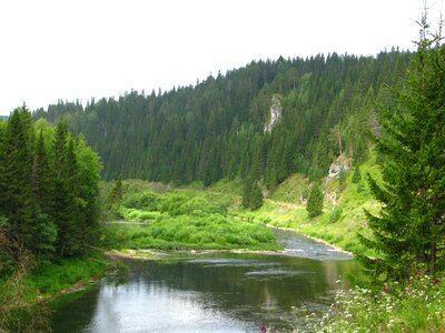 Landscape green beauty photo