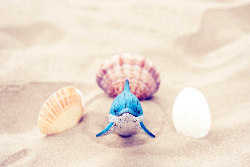Sea summer vacation