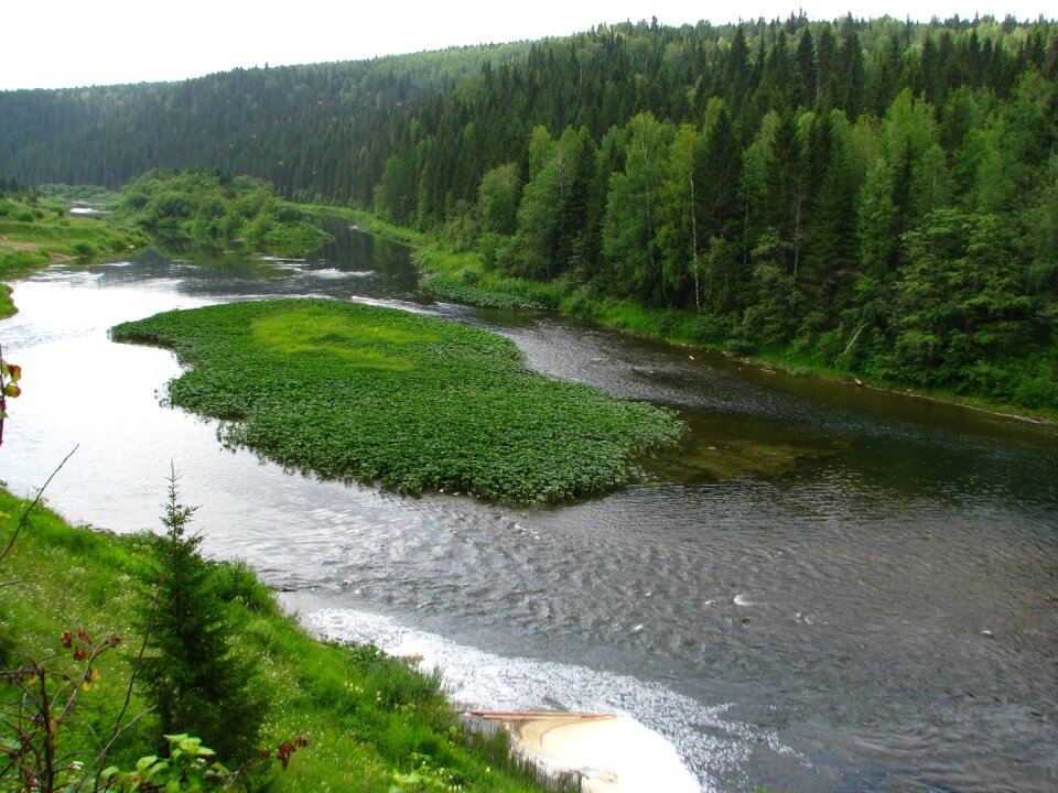 Landscape green beauty