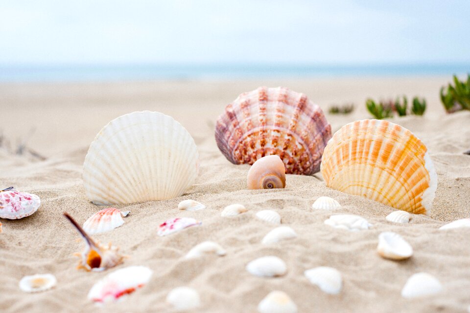 Sea summer vacation