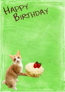 Background happy birthday birthday card