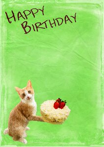 Background happy birthday birthday card photo