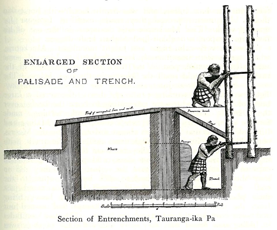 Section of entrenchments, tauranga ika pa