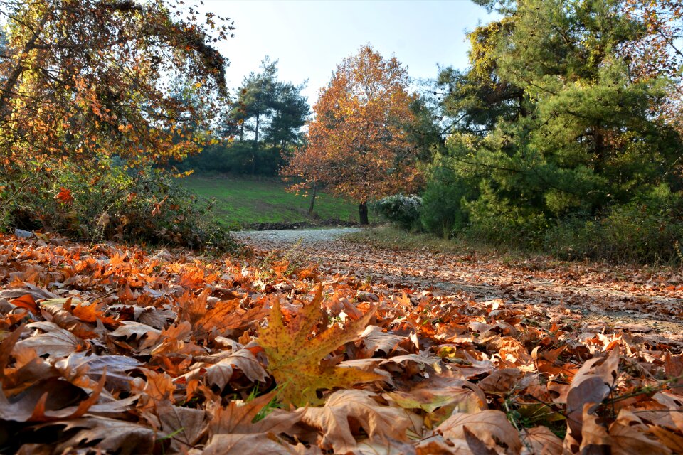Beautiful outdoor landscape