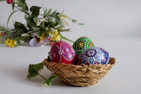 Happy easter easter egg painting spring photo