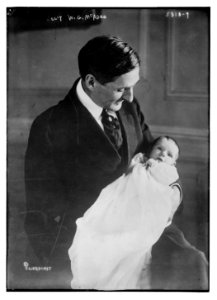 Secy W.G. McAdoo LCCN2014701428