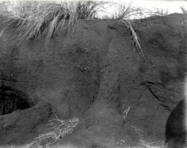 Sedimentär avlagring. S-te Marie de Marovoay. Madagaskar - SMVK - 021886