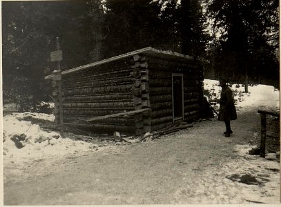 Seebachstellungen. Kote 976, Magazin Typus Blockhütte mit.Posten. (BildID 15470939)