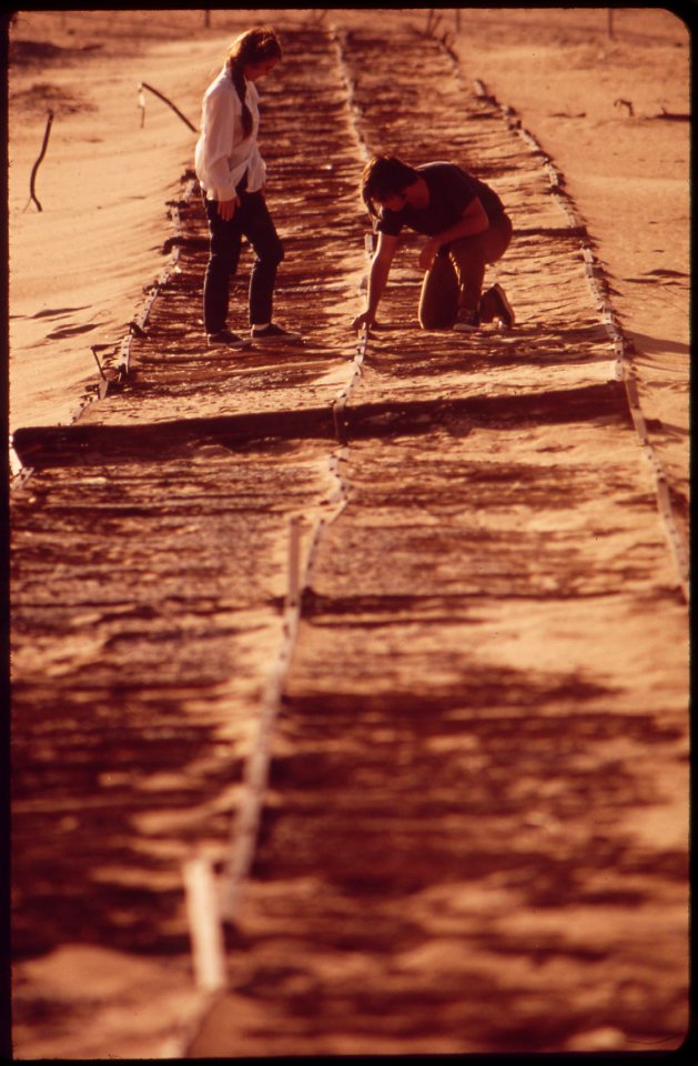 Segment-of-historic-plank-road-is-still-preserved-in-sand-dunes-of-imperial-valley-may-1972 7152592671 o
