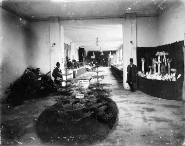 Segunda exposición hortícola internacional 1896 corredor bella época Dresde