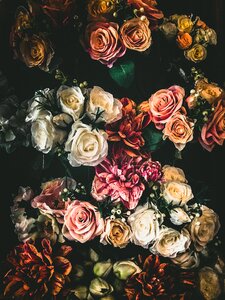 Nature plant bouquet