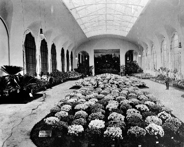 Segunda exposición hortícola internacional 1896 sala bella época Dresde