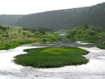 Landscape green beauty photo