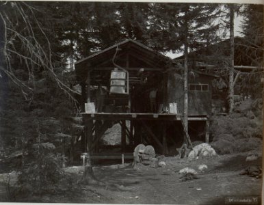 Seilbahn 63 in Aveati. (BildID 15643776)