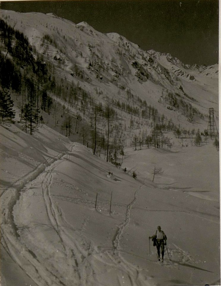 Seilbahn auf den Mt. Tonale. (BildID 15515225)