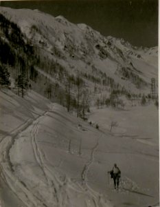 Seilbahn auf den Mt. Tonale. (BildID 15515225)
