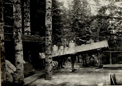 Seilbahnanlage in der Cimamulde. Aufgenommen im Mai 1916. (BildID 15533909)