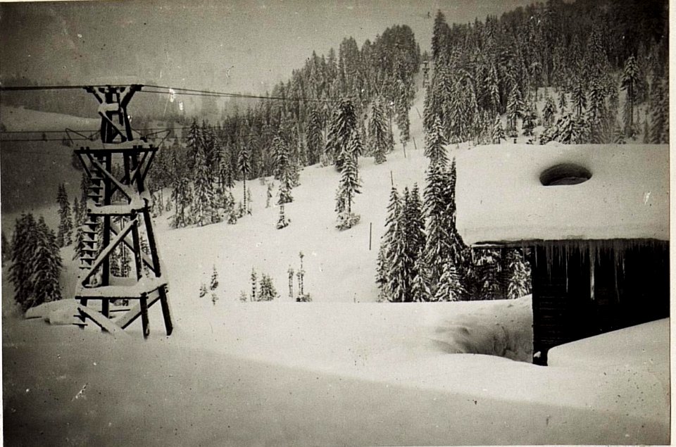 Seilbahn unweit der Seilbahnstation Stern mit Blick gegen Südost. (BildID 15576761)