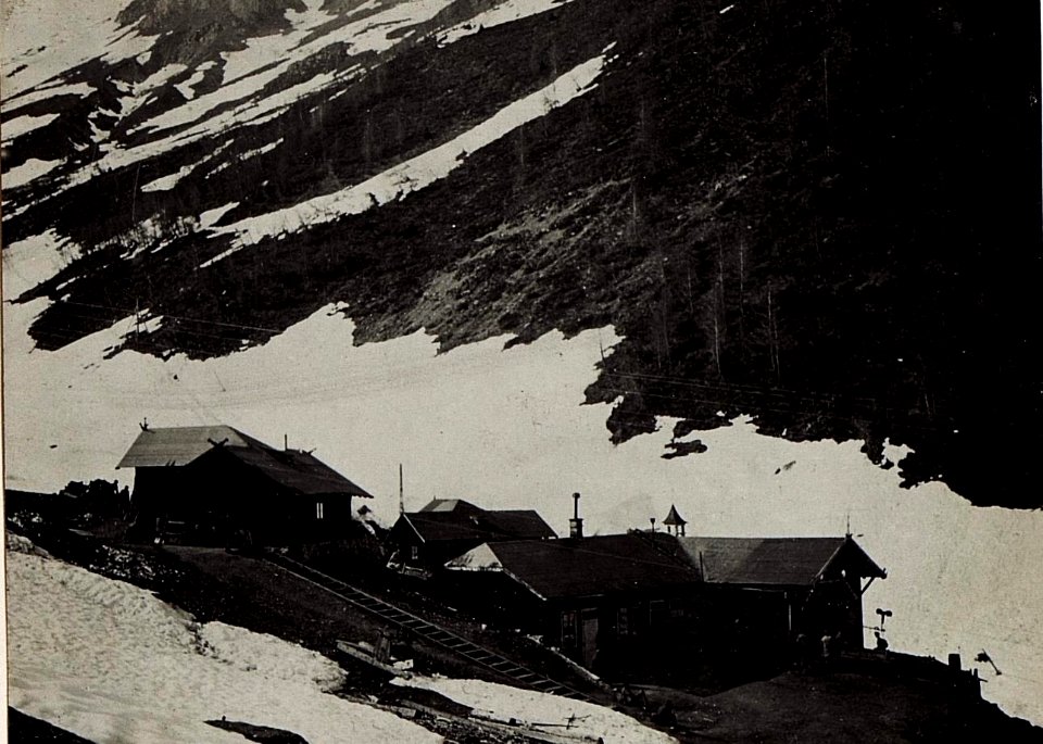 Seilbahnstation Nr.102 Malga Strino. (BildID 15583521)