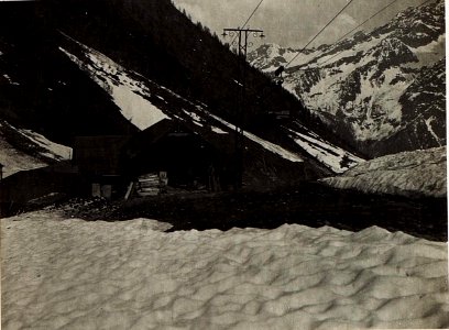 Seilbahnstation Nr.102 Malga Strino. (BildID 15583514)