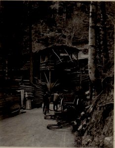 Seilbahnstation Eder im Plöckengraben. (BildID 15482363)