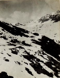 Seilbahnkopfstation der Malga Strino Seilbahn. (BildID 15583507)