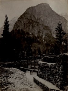 Seissera Inft.Stellung im Hintergrund kleiner Nabois (BildID 15483280)