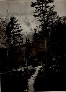 Seissera, Feldwache im Hintergr.Kuglic. (BildID 15483308)