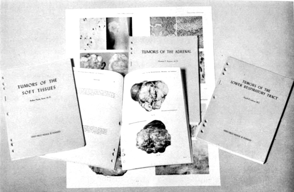 The Armed Forces Institute of Pathology - Figure 101