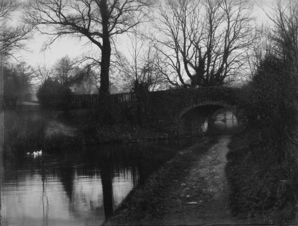 The Arch, Govilon (4641228)