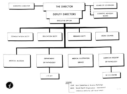 The Armed Forces Institute of Pathology - Figure 127