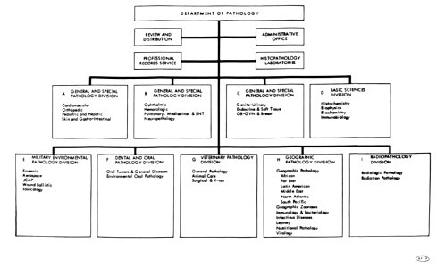 The Armed Forces Institute of Pathology - Figure 130