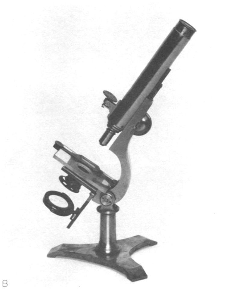 The Armed Forces Institute of Pathology - Figure 15 B