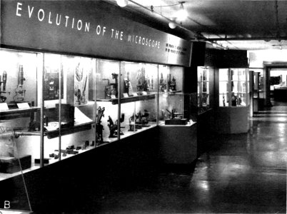 The Armed Forces Institute of Pathology - Figure 35