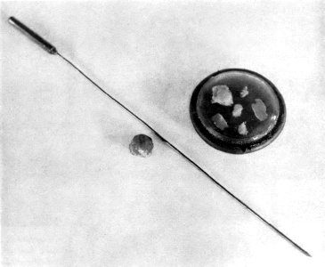 The Armed Forces Institute of Pathology - Figure 19