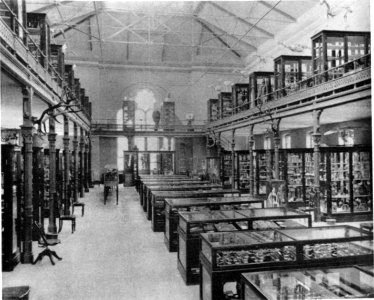 The Armed Forces Institute of Pathology - Figure 63