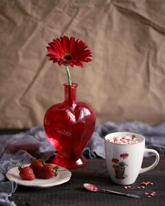 Drink no one flower