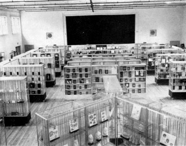 The Armed Forces Institute of Pathology - Figure 87
