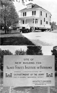 The Armed Forces Institute of Pathology - Figure 93