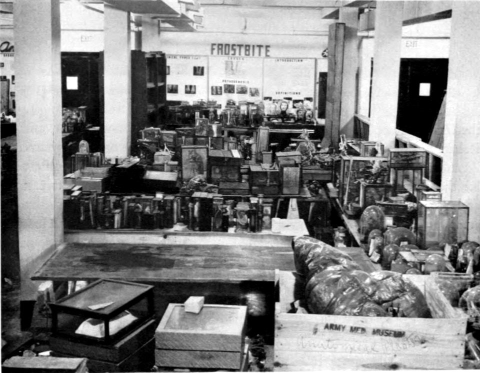 The Armed Forces Institute of Pathology - Figure 86