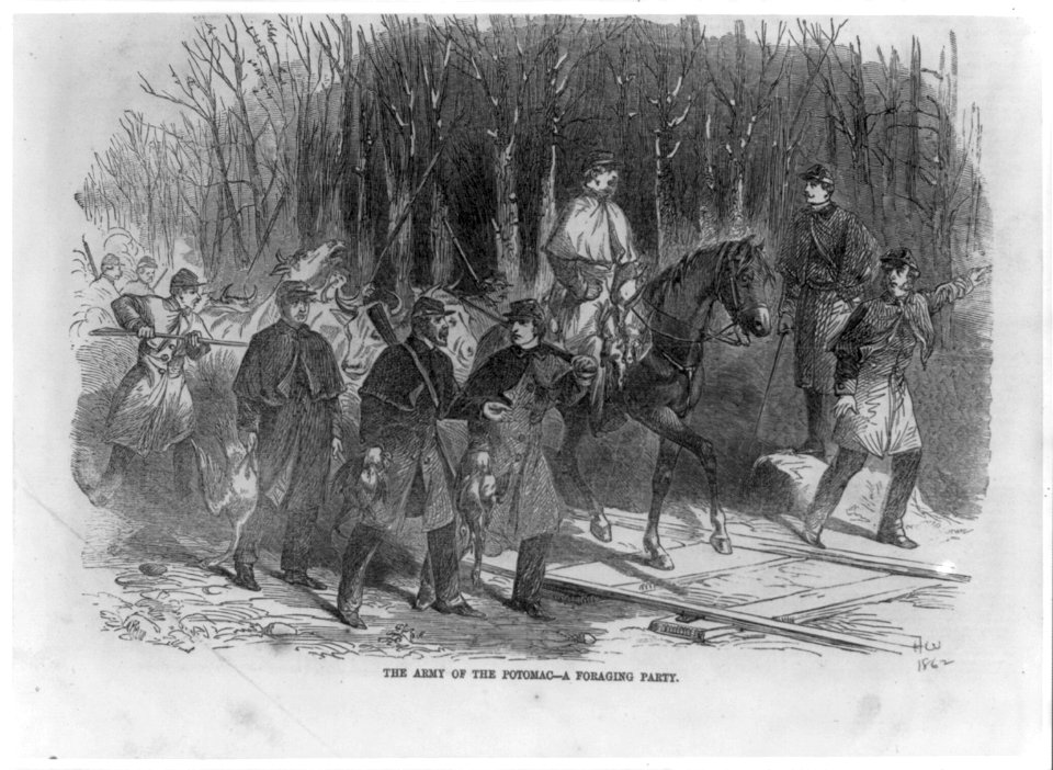 The Army of the Potomac - a foraging party LCCN2003666619