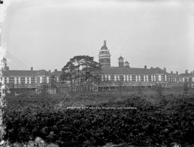 The Asylum, Whitchurch, Cardiff - Cardiff City Mental Hospital, Whitchurch. (4641339)